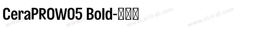 CeraPROW05 Bold字体转换